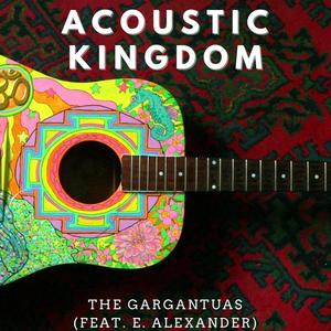 Acoustic Kingdom