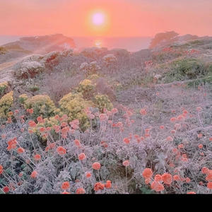 Benz (feat. Kahmi & King Has) (Explicit)