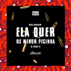 Mega Agressivo - Ela Quer os Menor Pecinha (Explicit)