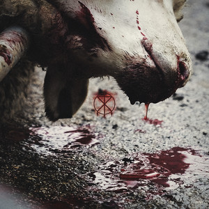 Reversing the Bear Trap (Explicit)