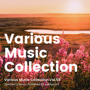 Various Music Collection Vol.59 -Selected & Music-Published by Audiostock-