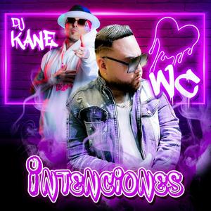 Intenciones (feat. DJ Kane)