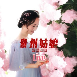 贵州姑娘 (伴奏)