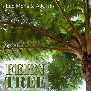 Fern Tree