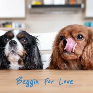 Beggin for Love