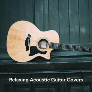 Relaxing Acoustic Guitar Covers - Ain't No Sunshine (Arr. for Guitar)
