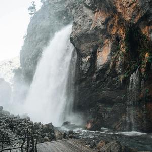 Mind-body connection