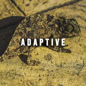 Adaptive