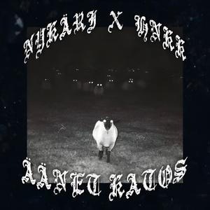 ÄÄNET KATOS (feat. HNKK / HENKI) (Explicit)