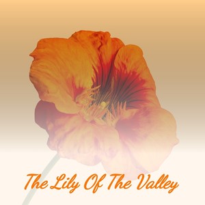 The Lily of the Valley