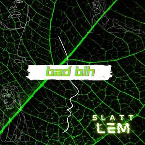 Bad Bih (Explicit)