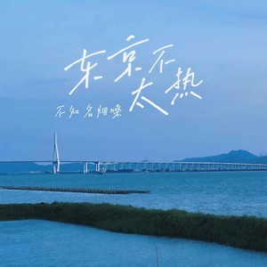 不知名烟嗓 - 东京不太热 (伴奏)