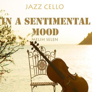 In a Sentimental Mood(Cello)