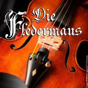 Die Fledermaus