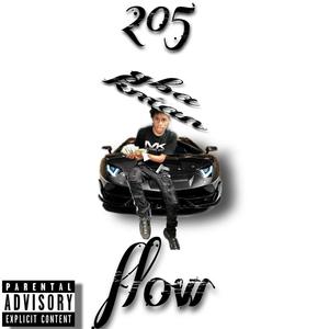 205 flow (Explicit)