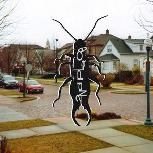 Earwig (Explicit)