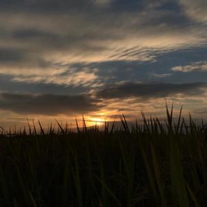 期待 (Prod.＜3Beatz)