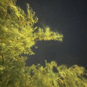 Under Yo Skin (feat. canyouseetheghost) (Explicit)