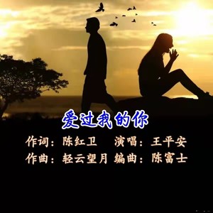 爱过我的你封面