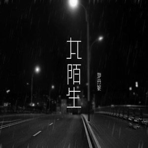 太陌生