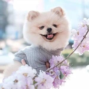 不想拥抱我的人封面