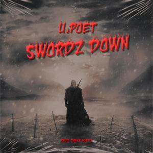 Swordz Down (feat. Danke Noetic) [Explicit]