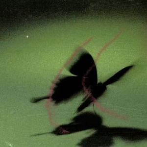 是我还不够好 (DJWH版)