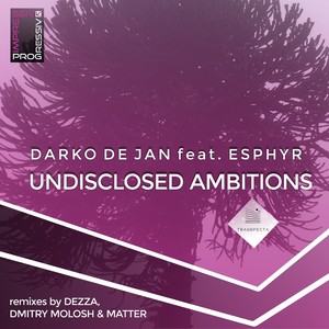 Undisclosed Ambitions (Dmitry Molosh Remix)