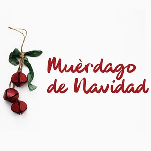 Muérdago De Navidad