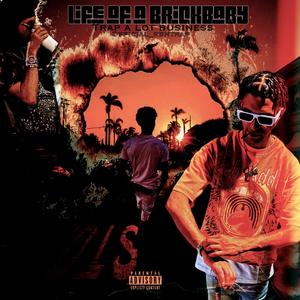 Life Of A BrickBaby (Explicit)