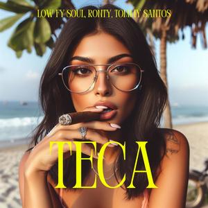 TECA (feat. Ronty & Tommy Santos)