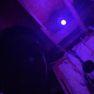 2025 (Slowed) (Explicit)