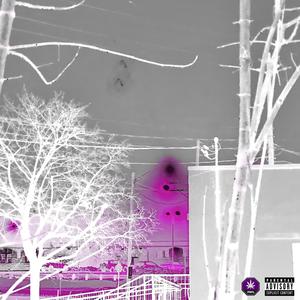 canwegobackintime (Explicit)