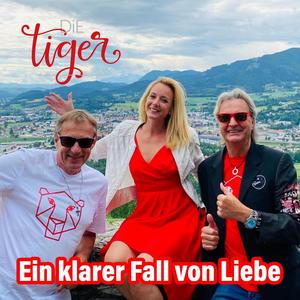 Ein klarer Fall von Liebe (Radio-Mix)
