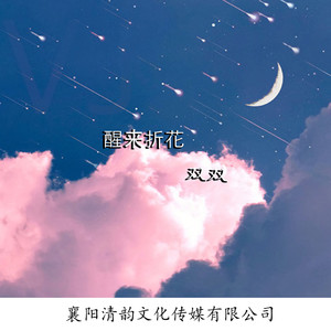 醒来折花