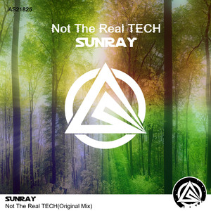 Not The Real TECH (Original Mix)