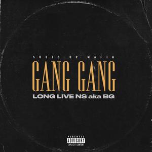 Gang (feat. Lil Man) [Explicit]