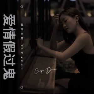 爱情假过鬼 (越南语版伴奏)