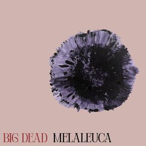 Melaleuca