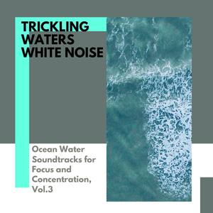 Trickling Waters White Noise - Ocean Water Soundtracks for Focus and Concentration, Vol.3