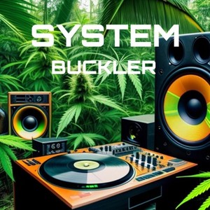 SYSTEM