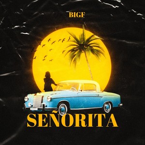 Señorita (Explicit)