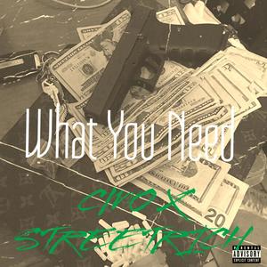 What You Need (feat. Street Rich Navi, CMO DON & Traploww) (Explicit)