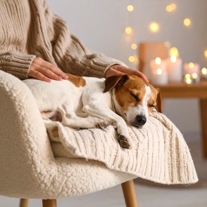 Melodas De Relajacin Suave