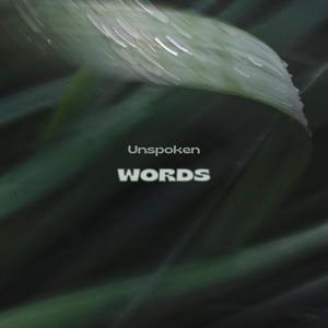 Unspoken words