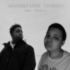 assumptions (remix|Explicit)