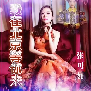 我在北京等你来 (DJ伴奏)