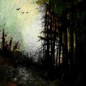 see the lights (feat. rjustice) (Explicit)