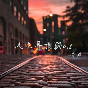风吹丹顶鹤0.8