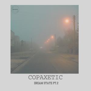 Dream State Pt. 2 (Explicit)